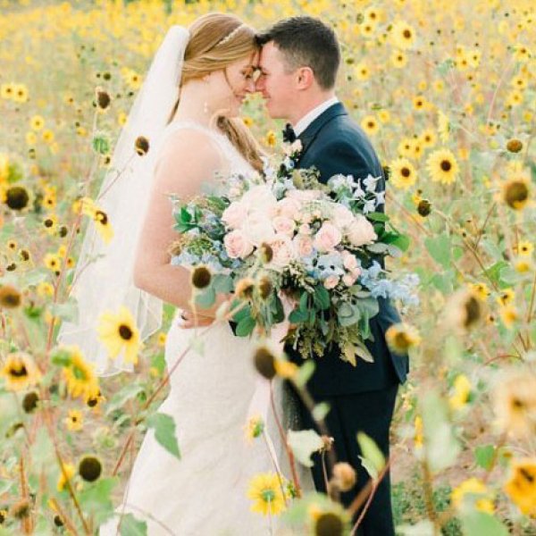 Bride and groom in a sunflower field Bride and groom in a sunflower field