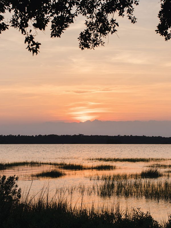 Golden Hour: Rachel & Cole in Charleston, SC