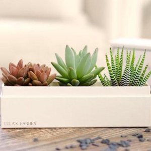 5 Bridal Shower Gifts that Give Back 5 Bridal Shower Gifts that Give Back