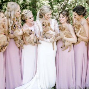 Bride and bridesmaids carrying puppies Bride and bridesmaids carrying puppies