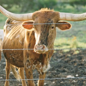 ranch wedding ranch wedding