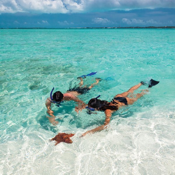 Snorkeling Snorkeling